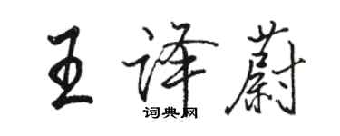 駱恆光王譯蔚行書個性簽名怎么寫