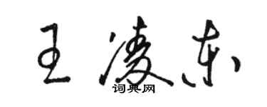 駱恆光王凌東草書個性簽名怎么寫