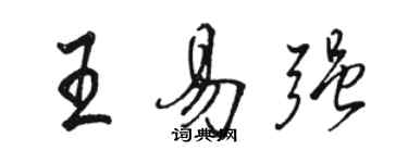 駱恆光王易強行書個性簽名怎么寫