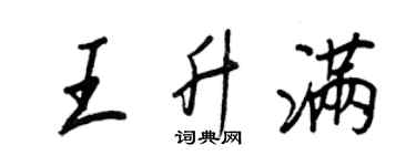 王正良王升滿行書個性簽名怎么寫