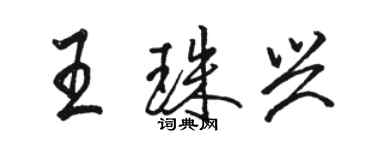 駱恆光王珠興行書個性簽名怎么寫