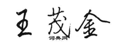 駱恆光王茂金行書個性簽名怎么寫