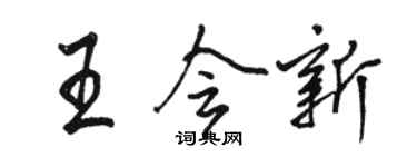 駱恆光王會新行書個性簽名怎么寫