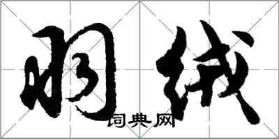 胡問遂羽絨行書怎么寫