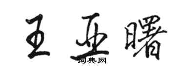 駱恆光王亞曙行書個性簽名怎么寫