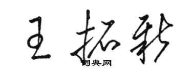駱恆光王拓新草書個性簽名怎么寫