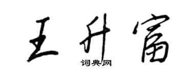 王正良王升富行書個性簽名怎么寫