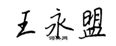 王正良王永盟行書個性簽名怎么寫