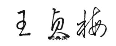 駱恆光王貞梅草書個性簽名怎么寫