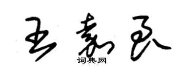 朱錫榮王嘉良草書個性簽名怎么寫