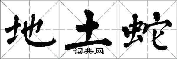 翁闓運地土蛇楷書怎么寫