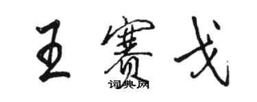 駱恆光王賽戈行書個性簽名怎么寫