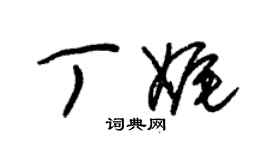 朱錫榮丁娓草書個性簽名怎么寫