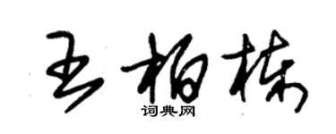 朱錫榮王柏棟草書個性簽名怎么寫