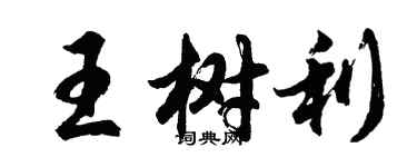 胡問遂王樹利行書個性簽名怎么寫