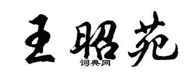 胡問遂王昭苑行書個性簽名怎么寫