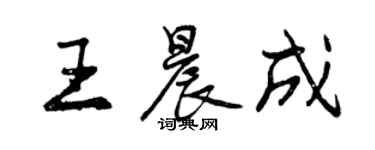 曾慶福王晨成行書個性簽名怎么寫