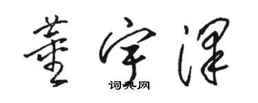 駱恆光董宇澤草書個性簽名怎么寫