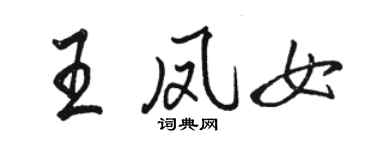 駱恆光王鳳女行書個性簽名怎么寫