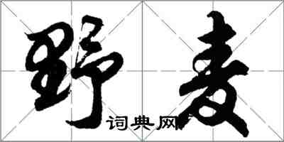 胡問遂野麥行書怎么寫