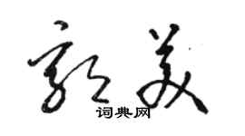 駱恆光郭美草書個性簽名怎么寫