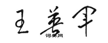 駱恆光王英軍草書個性簽名怎么寫