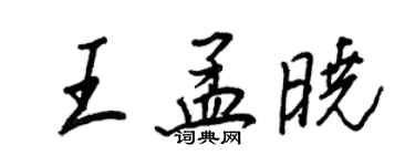 王正良王孟曉行書個性簽名怎么寫