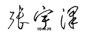 駱恆光張宇澤草書個性簽名怎么寫