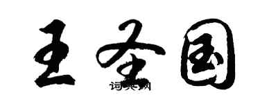 胡問遂王聖國行書個性簽名怎么寫