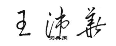 駱恆光王沛華草書個性簽名怎么寫