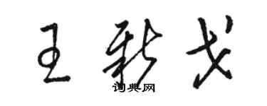 駱恆光王新戈草書個性簽名怎么寫