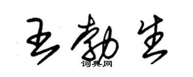 朱錫榮王勃生草書個性簽名怎么寫