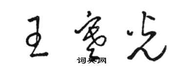 駱恆光王寒光草書個性簽名怎么寫