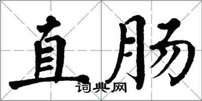 翁闓運直腸楷書怎么寫