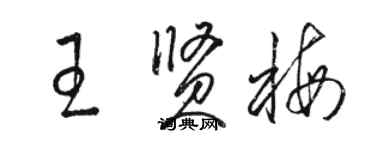 駱恆光王賢梅草書個性簽名怎么寫