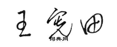駱恆光王憲田草書個性簽名怎么寫