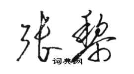 駱恆光張黎草書個性簽名怎么寫