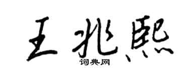 王正良王兆熙行書個性簽名怎么寫