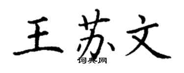 丁謙王蘇文楷書個性簽名怎么寫