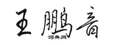 駱恆光王鵬音行書個性簽名怎么寫
