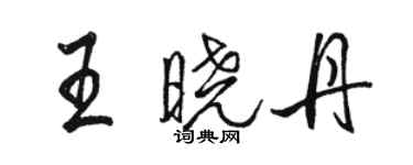 駱恆光王曉丹行書個性簽名怎么寫