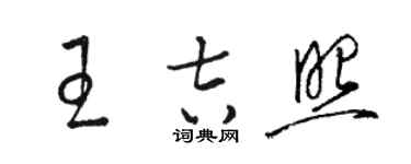 駱恆光王吉照草書個性簽名怎么寫