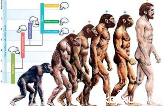 人類1000年後的樣子 1000年後未來人的長像