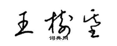 梁錦英王樹基草書個性簽名怎么寫