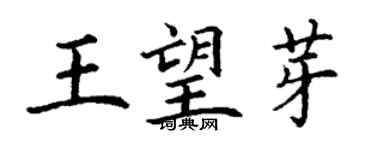 丁謙王望芽楷書個性簽名怎么寫