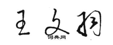 駱恆光王文羽草書個性簽名怎么寫