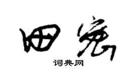 朱錫榮田密草書個性簽名怎么寫