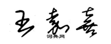 朱錫榮王嘉喜草書個性簽名怎么寫