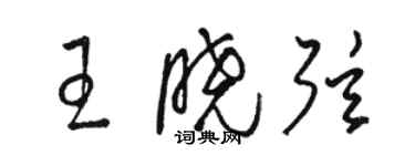 駱恆光王曉弦草書個性簽名怎么寫