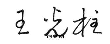 駱恆光王光柱草書個性簽名怎么寫